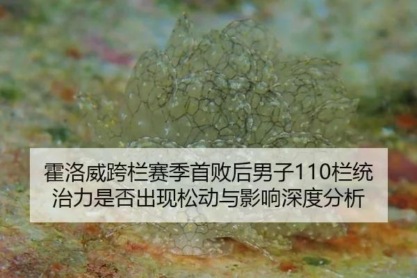 huo-luo-wei-kua-lan-sai-ji-shou-bai-hou-nan-zi-lan-tong-zhi-li-shi-fou-chu-xian-song-dong-yu-ying-xiang-shen-du-fen-xi-2-884.jpg