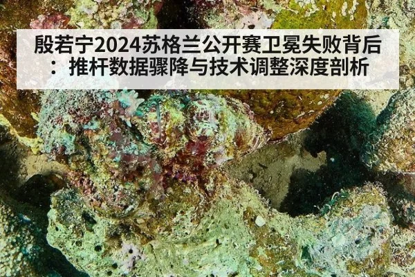 殷若宁2024苏格兰公开赛卫冕失败背后:推杆数据骤降与技术调整深度剖析