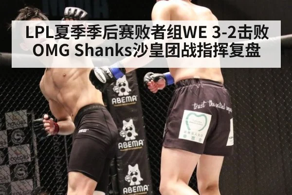 LPL夏季季后赛败者组WE 3-2击败OMG Shanks沙皇团战指挥复盘